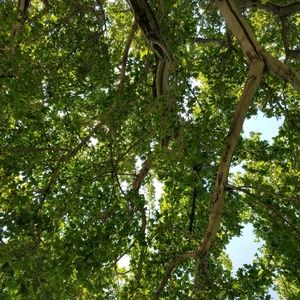 Meet your Posher, Lorie